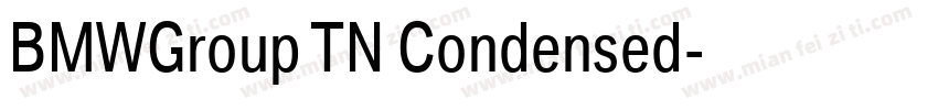 BMWGroup TN Condensed字体转换